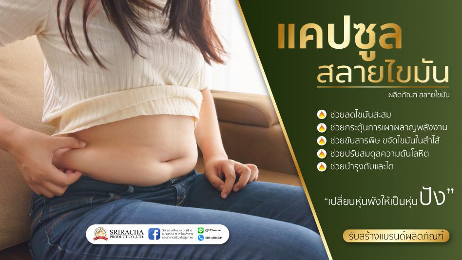 ผลิตภัณฑ์ สลายไขมัน